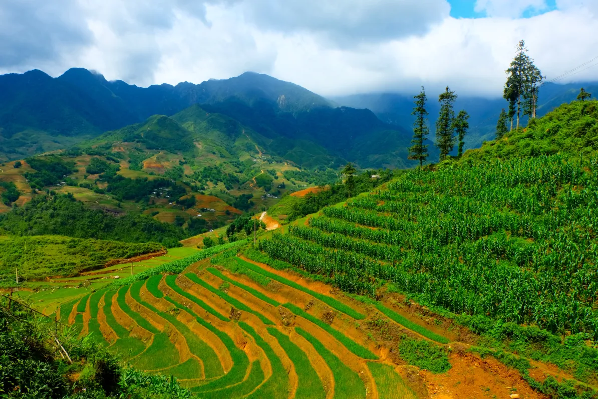 The Ultimate Guide to Tour en Bicicleta Sapa: Pedaling Through the Roof of Indochina